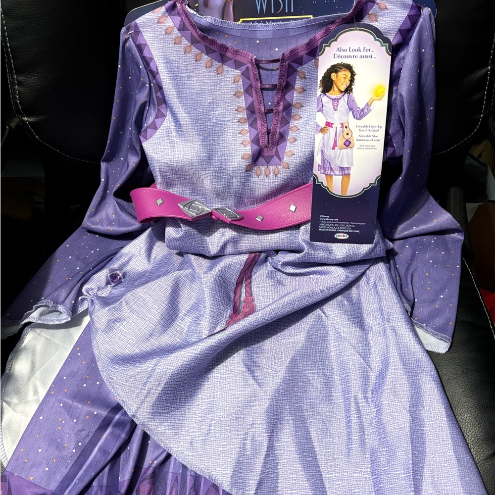 Disney Wish Asha's Adventure Dress